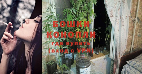 бошки Нефтегорск