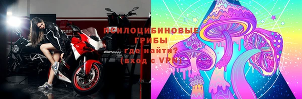 сатива Навашино